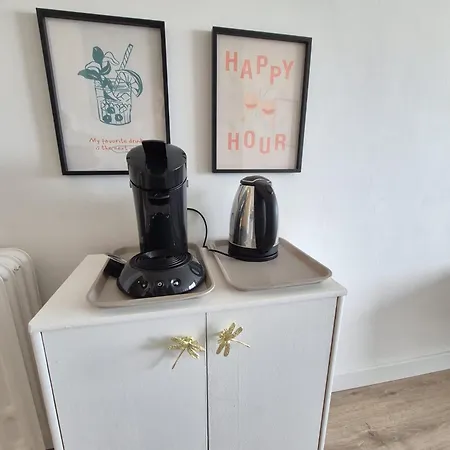 Vernieuwd 1-slaapkamer Appartement, Frontaal Zeezicht Met Terras *