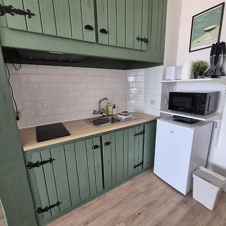 Vernieuwd 1-slaapkamer appartement, frontaal zeezicht met terras Appartement