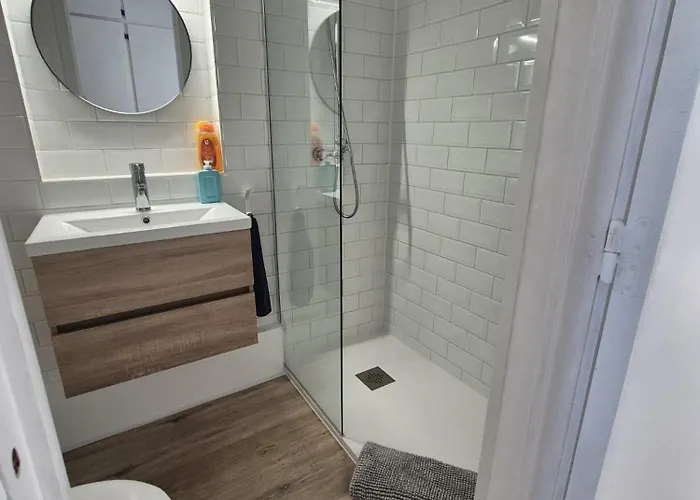 Vernieuwd 1-slaapkamer appartement, frontaal zeezicht met terras * Blankenberge