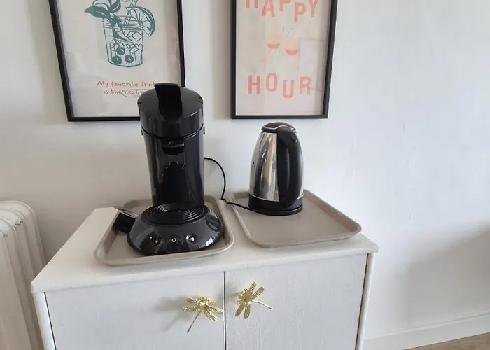 Vernieuwd 1-slaapkamer appartement, frontaal zeezicht met terras *