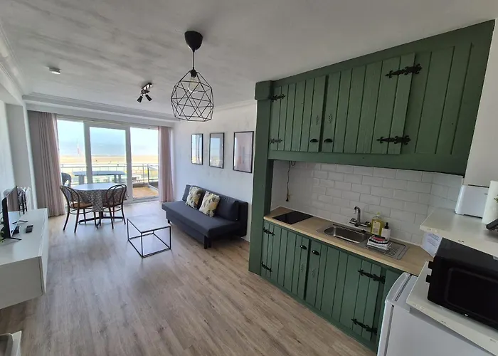 Vernieuwd 1-slaapkamer appartement, frontaal zeezicht met terras Blankenberge